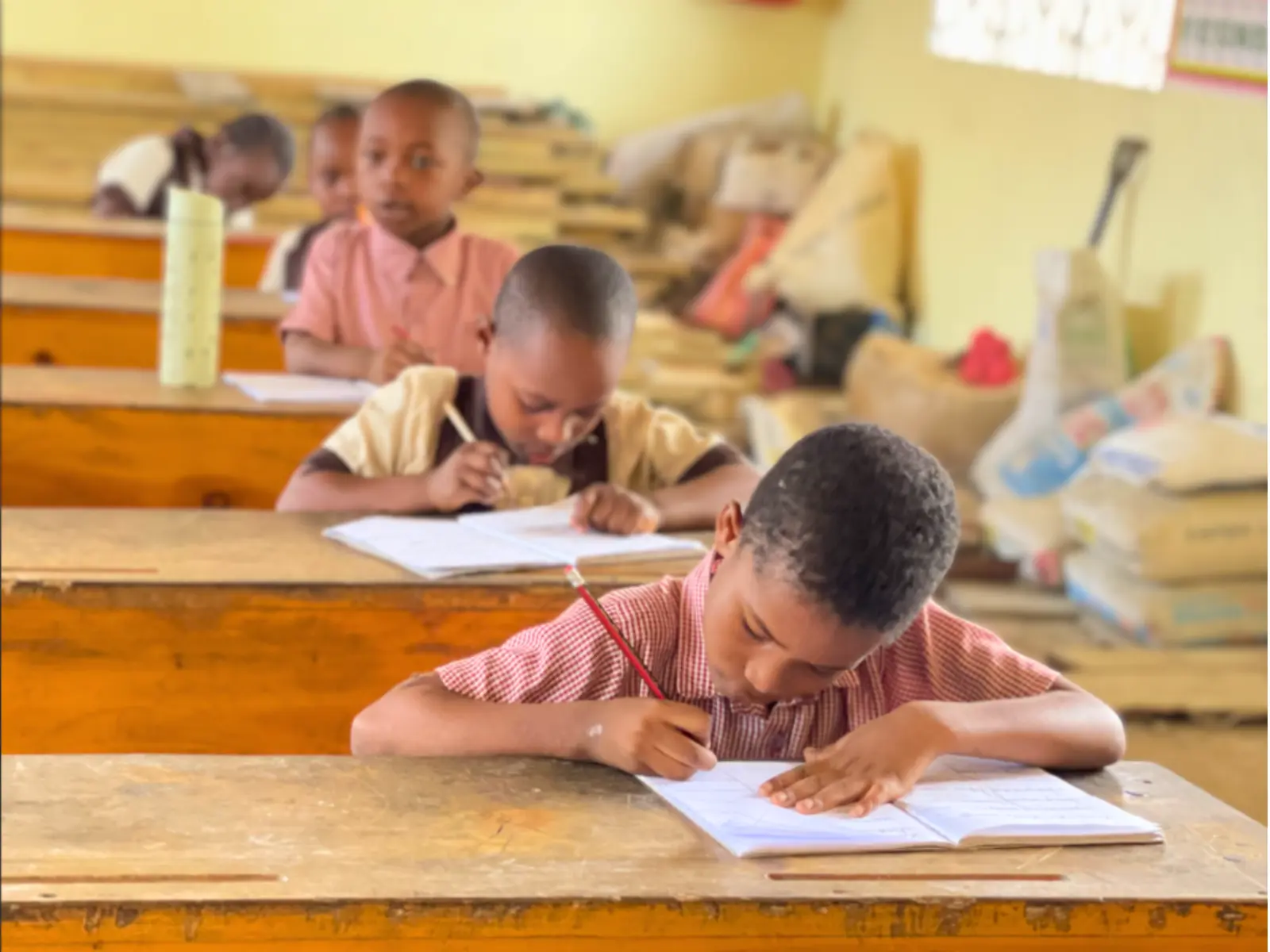 Lawrence Academy Students Build a School